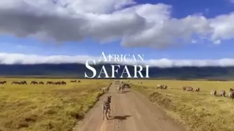 African Safar