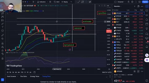 Портфолио Януари 2024