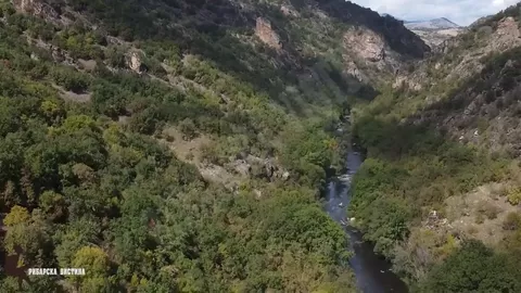 Ribolov na bela mrena na Crna Reka