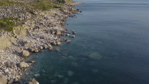 Морски кончета на Обединеното кралство. Бодливо морско конче, заснето в Дорсет, Великобритания. Виде