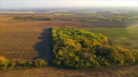 Археологически разкопки край Чирпан